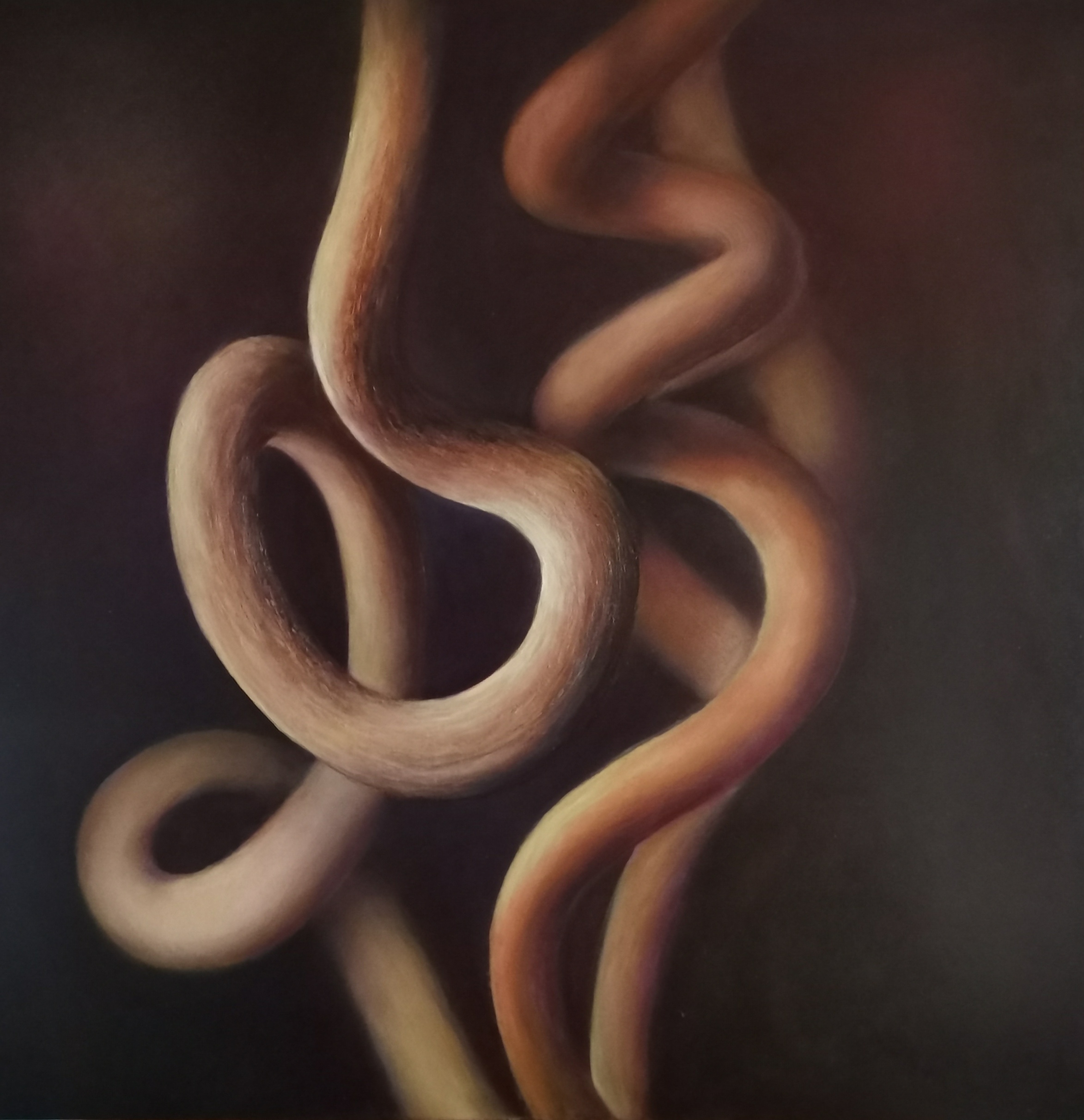 Spira Mirabilis